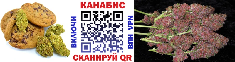 Canna-Cookies марихуана  Купить  Тайга 